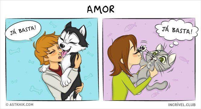14 quadrinhos que mostram a diferença entre viver com um cão e com um gato