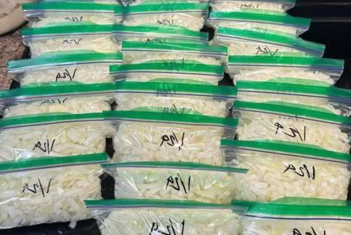 Conservando cebola no freezer saiba seus benefícios