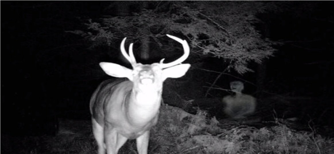 1749179307 766 9 imagens sobrenaturais de arrepiar alien