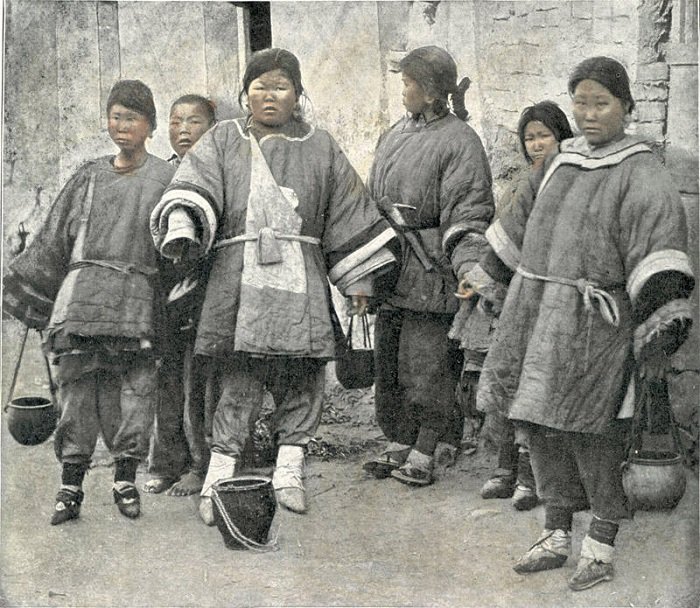 pe-de-chinesa-pes-de-lotus-4