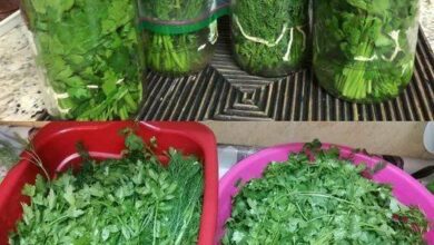 Como guardar salsa para ficar fresca