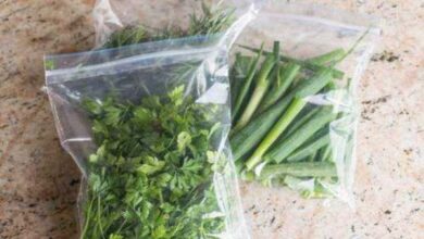 1749183670 Como Congelar Ervas e Temperos Como Congelar Ervas e Temperos