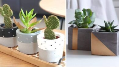 Como Fazer Vasinhos de Cimento para Suculentas