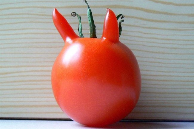 20frutas elegumes que parecem outra coisa