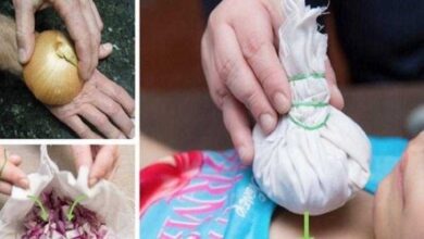 1749197110 Como usar a cebola para tratar 9 doencas comuns no Como usar a cebola para tratar 9 doenças comuns no dia-a-dia