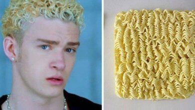 1749206950 17 Imagens para te fazer morrer de rir 17 Imagens para te fazer morrer de rir