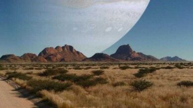 1749208147 11 fatos curiosos que vao dar pane na sua mente 11 fatos curiosos que vão dar pane na sua mente