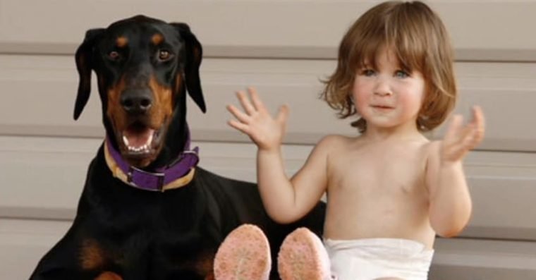 1749215708 73 Cao agarra a bebe pela fralda e arrasta a pelo quintal