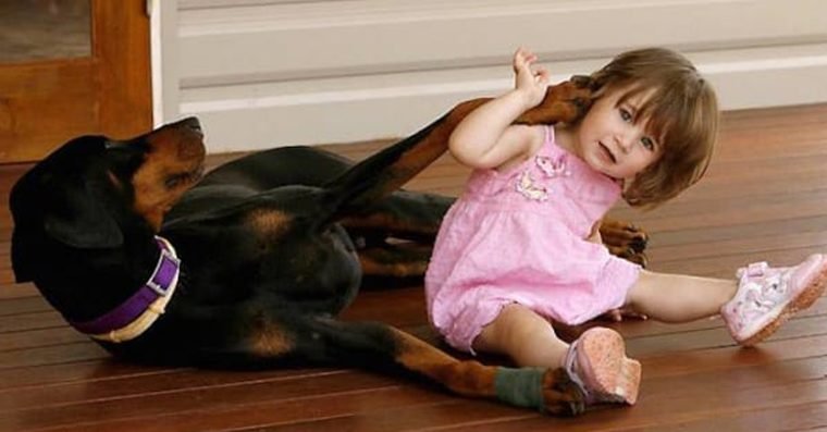 1749215708 95 Cao agarra a bebe pela fralda e arrasta a pelo quintal