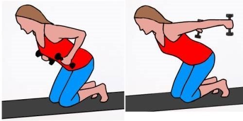 6 Exercícios Para Braços Flácidos