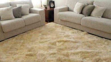 4 Dicas de como limpar tapete