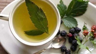 Benefícios do chá de folha de amora