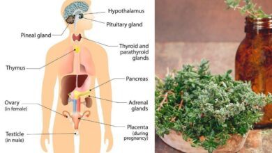 Como equilibrar os hormônios naturalmente