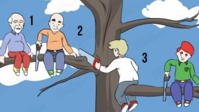 1749246397 Qual destes homens vai cair primeiro Sua resposta diz muito Qual destes homens vai cair primeiro? Sua resposta diz muito sobre sua personalidade