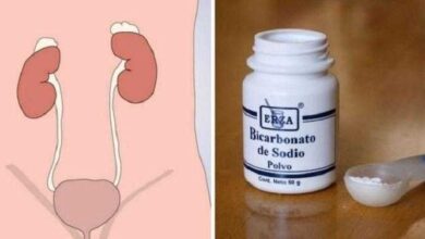 Receitas caseiras para infecção urinária
