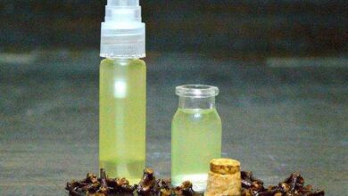 Truques caseiros para evitar moscas em casa