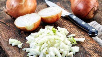 Curiosidades INCRÍVEIS sobre cebolas