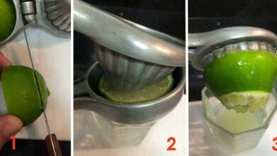 Você está usando o espremedor de limão de forma errada