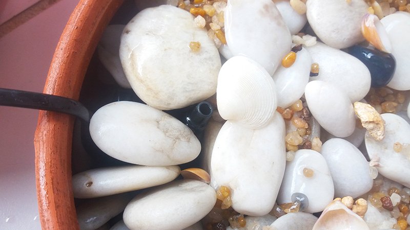 1749268386 582 Como fazer fonte de agua decorativa como fazer fonte de água decorativa detalhe da bomba