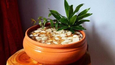 Como fazer fonte de água decorativa