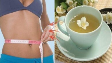 Chá branco emagrece e contém vários benefícios