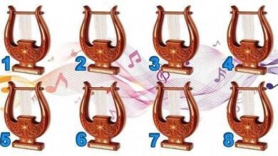 Escolha uma das harpas e veja o louvor que falará hoje ao teu coração.