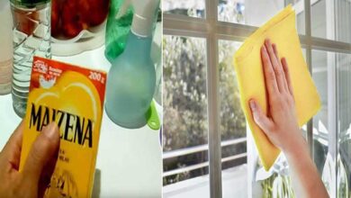 Use Maizena para limpar os vidros da sua casa: eles vão brilhar