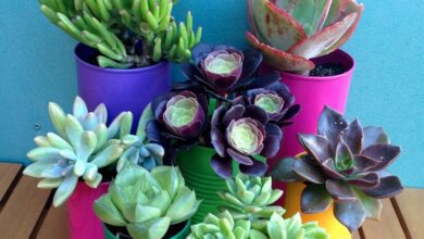 Aprenda como fazer vasos com latas