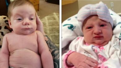 17 Bebês fofos que já parecem ter nascido com 50 anos