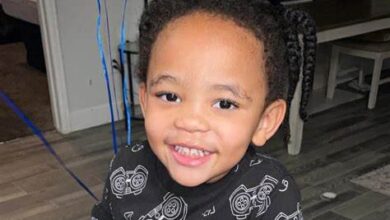 a boa do diamenino de 4 anos fica 19 horas com coração sem bater e