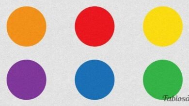 Escolha a sua cor preferida para saber mais de si mesmo!