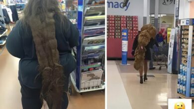 1749519010 20 Pessoas que nao se importam nem um pouco com 20 Pessoas que não se importam nem um pouco com o que os outros pensam delas