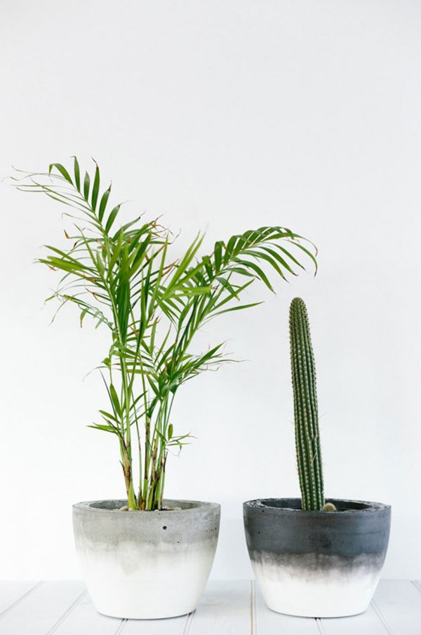 vaso de concreto com formas vaso de concreto com formas