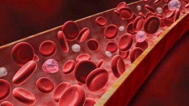 9 Alimentos que ajudam a desentupir suas veias e artérias de