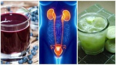 10 bebidas naturais para tratar as infecções urinárias