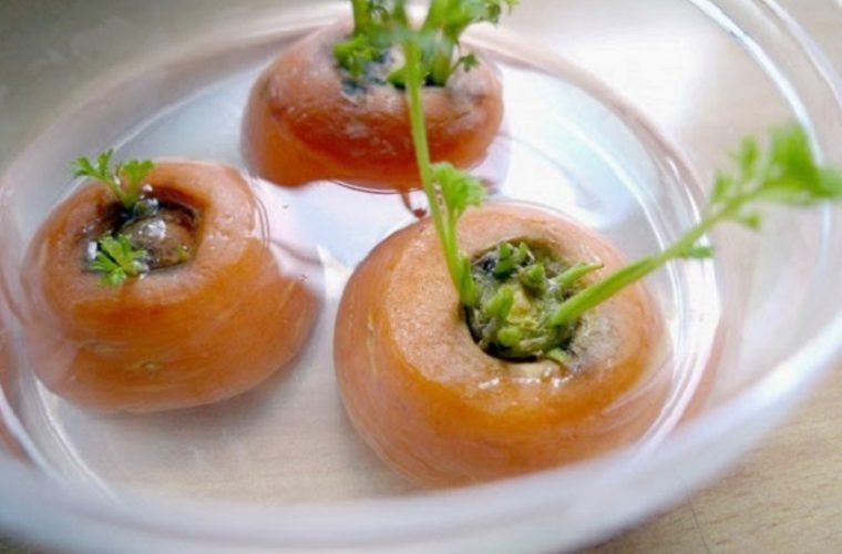 1749595450 44 10 vegetais que podem ser cultivados em casa facilmente em