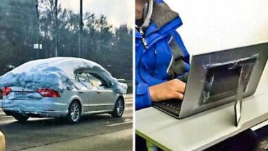 10 das pessoas mais preguiçosas que você vai ver hoje