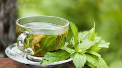 Porque deve beber chá de erva de cidreira regularmente