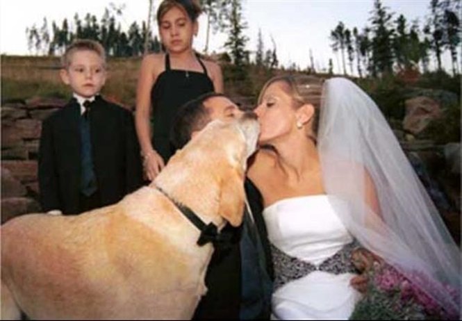 Foto: Tudo Interessante