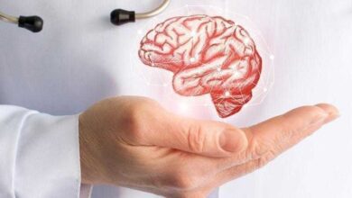 Adote essas 10 atitudes e mantenha seu cérebro saudável e produtivo es