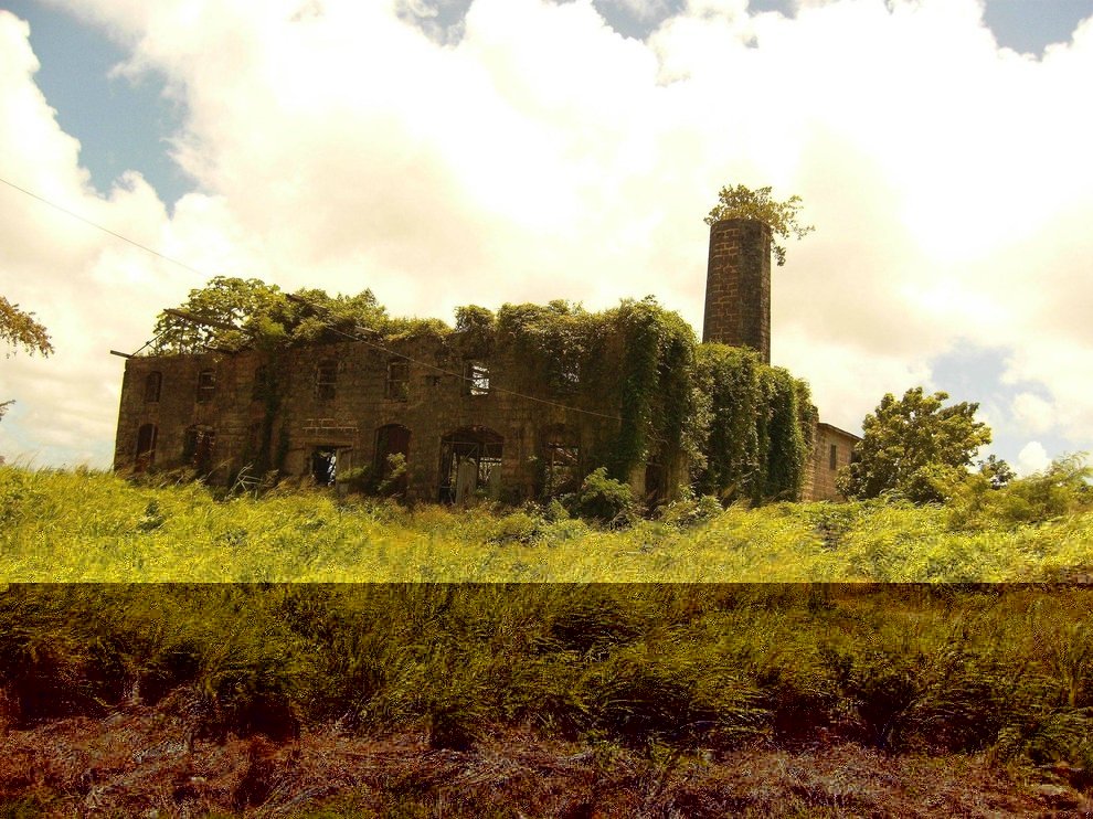 1749670515 35 24 predios abandonados que foram totalmente transformados pela natureza abandonado destilaria em Barbados