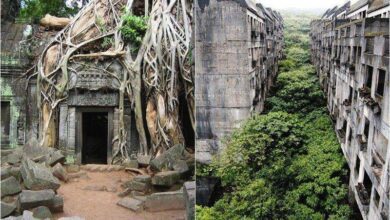 24 prédios abandonados que foram totalmente transformados pela natureza