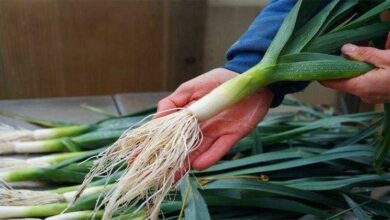 Diga adeus a diabetes para sempre apenas com essa receita caseira