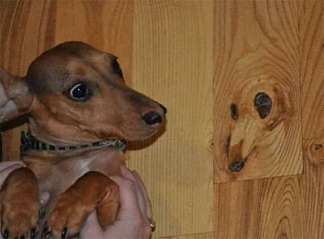 23 imagens que te mostrarão direitinho o que é pareidolia