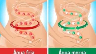 4 motivos para optar por beber água morna em vez de fria a