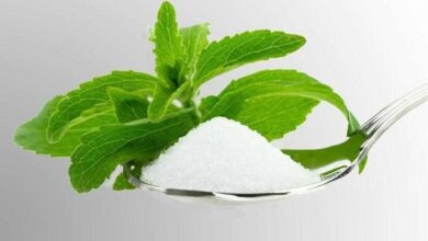 Já conhece a stevia, o açúcar que não faz mal?