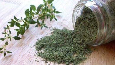 Benefícios do tomilho para a saúde e como usar