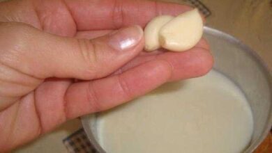 Benefícios de beber leite com alho antes de dormir