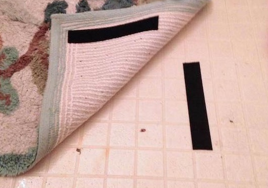 1749681131 511 Ideias infaliveis para manter uma casa mais organizada blank