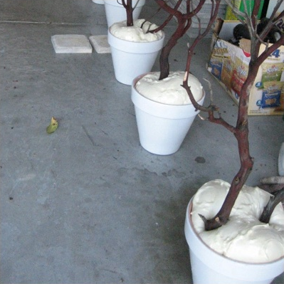 1749681132 7 Ideias infaliveis para manter uma casa mais organizada blank